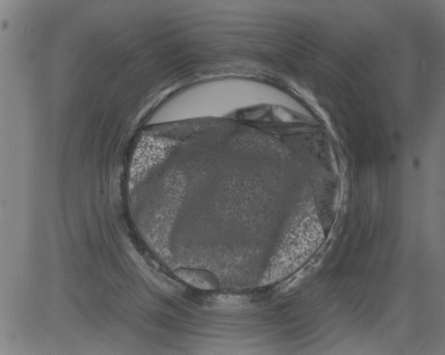 X0000081430154200702092208