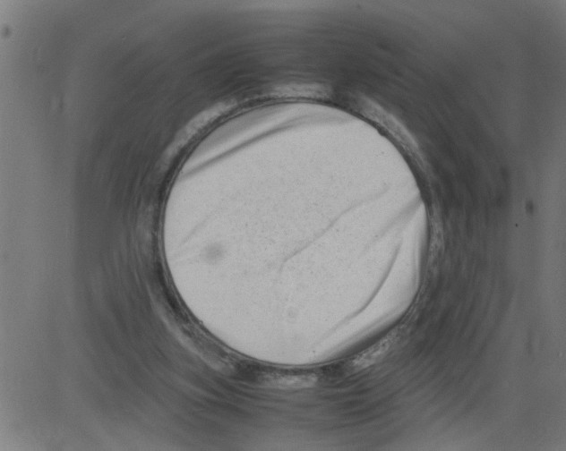 X0000081430155200702092208