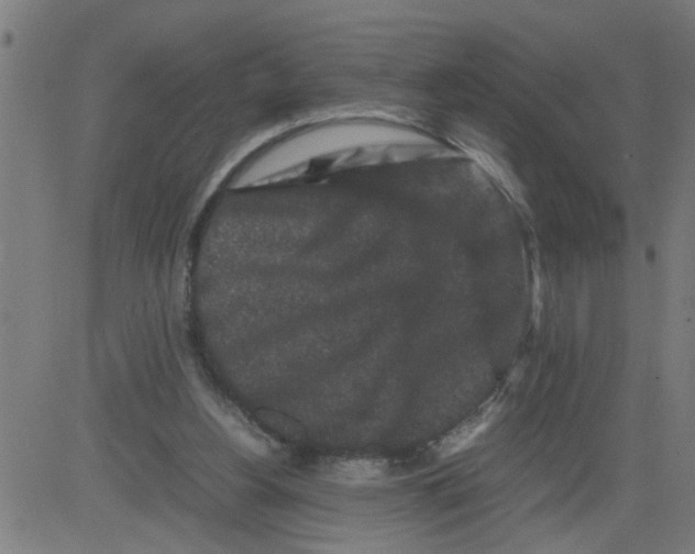 X0000081430156200702092208