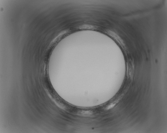 X0000081430157200702092208