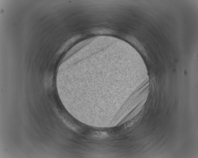 X0000081430159200702092208