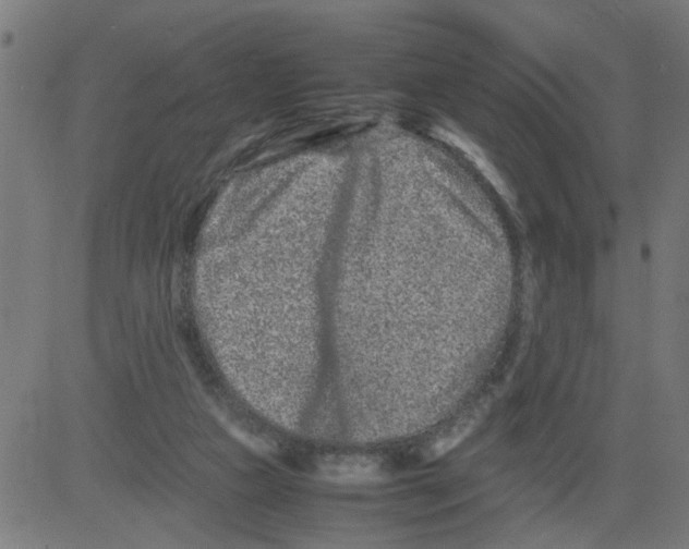 X0000081430161200702092208