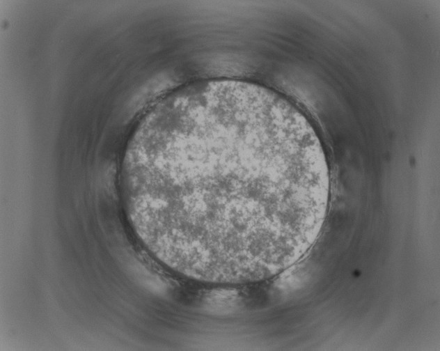 X0000081430162200702092208