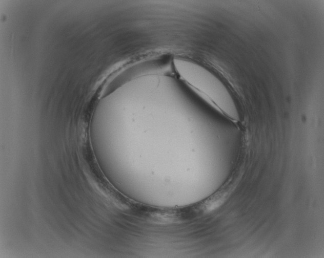 X0000081430164200702092208