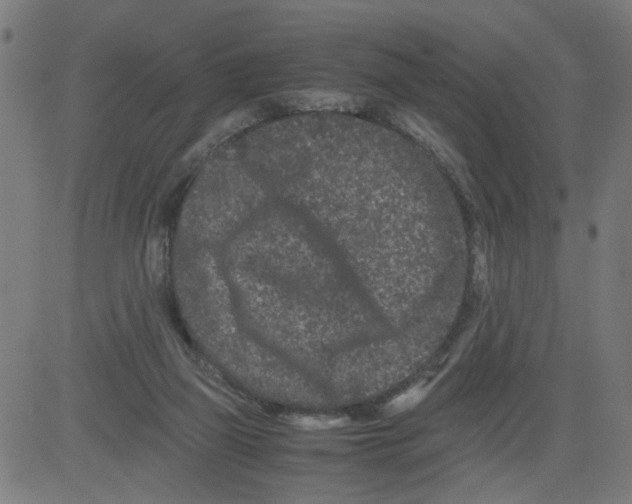 X0000081430165200702092208