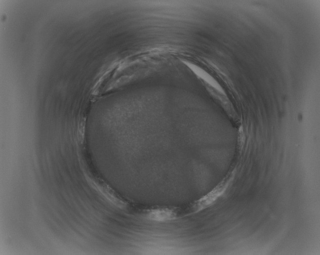 X0000081430168200702092208