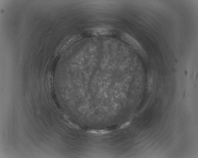 X0000081430169200702092208