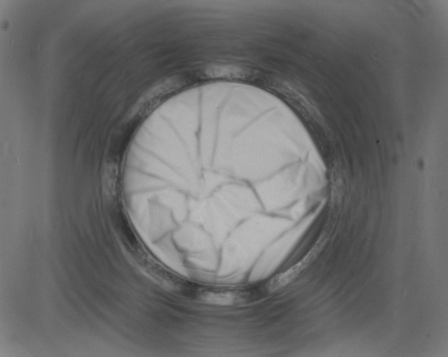 X0000081430171200702092208