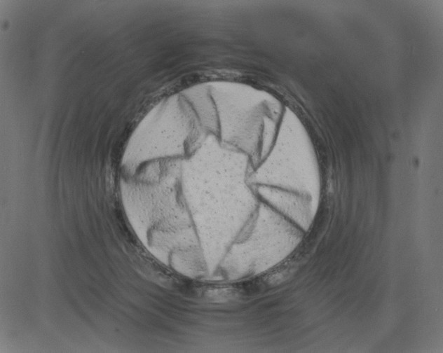 X0000081430173200702092209