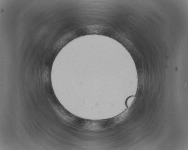 X0000081430174200702092209