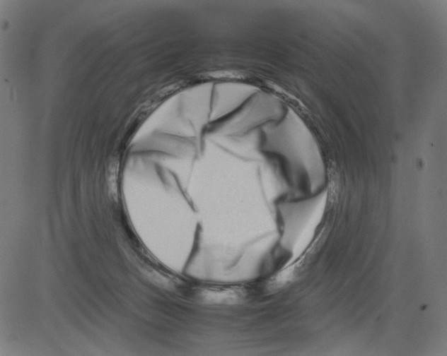 X0000081430175200702092209