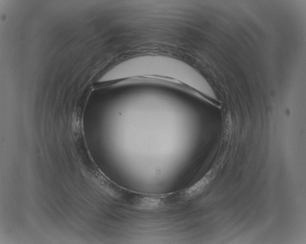 X0000081430176200702092209