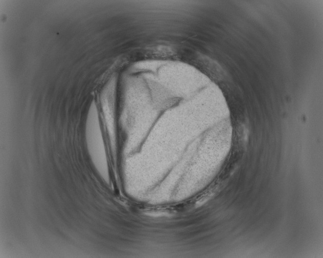 X0000081430177200702092209