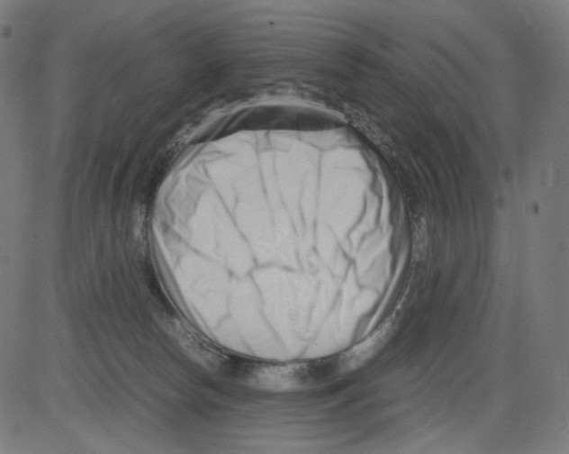 X0000081430178200702092209