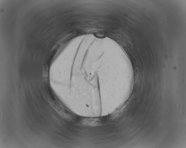 X0000081430179200702092209