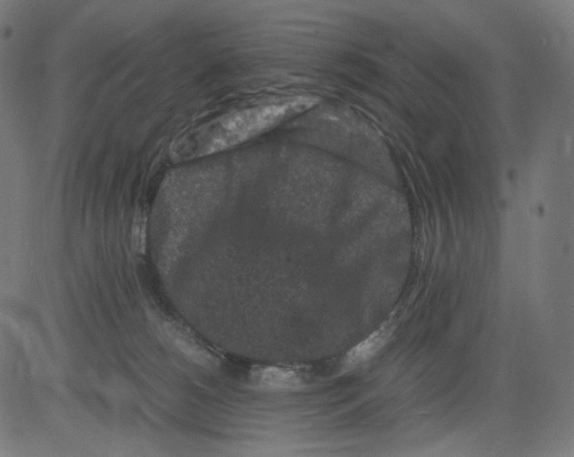 X0000081430180200702092209