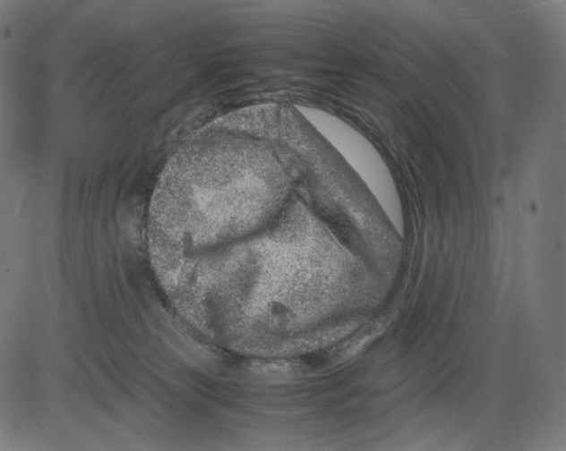 X0000081430181200702092209