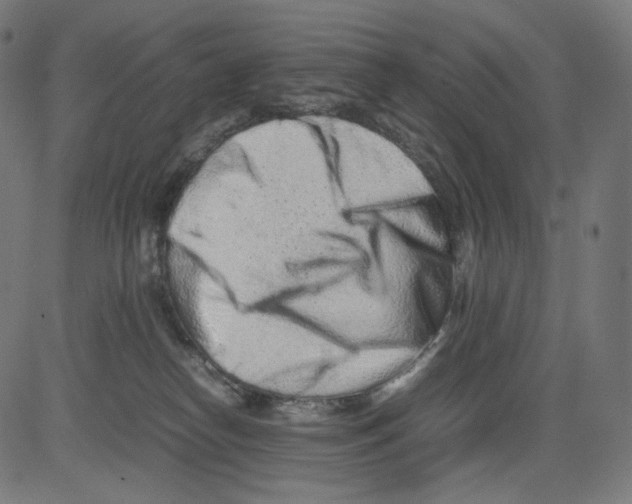 X0000081430182200702092209