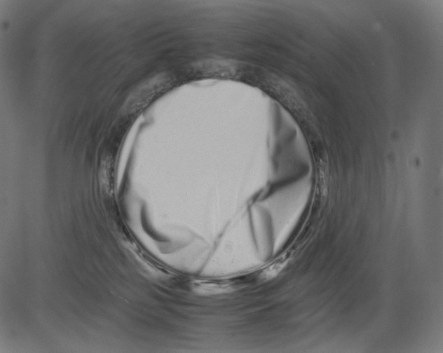 X0000081430185200702092209