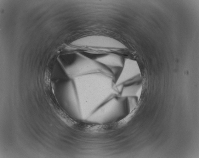 X0000081430186200702092209