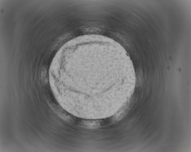 X0000081430187200702092209