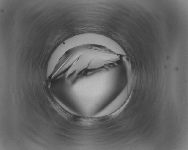 X0000081430190200702092209