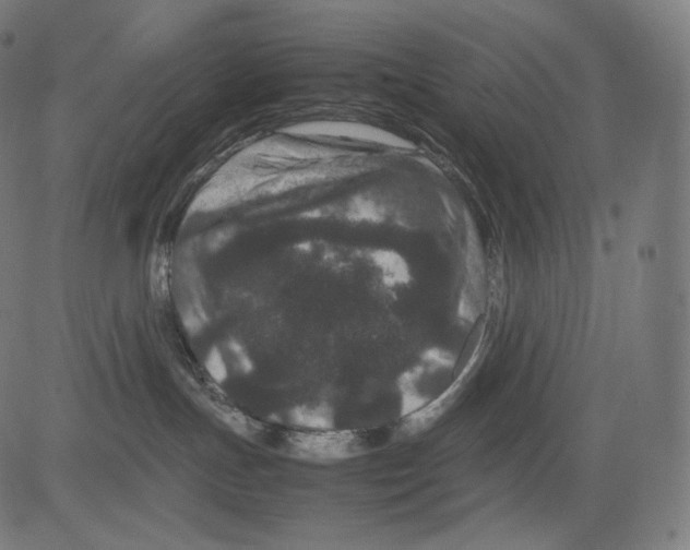 X0000081430191200702092209