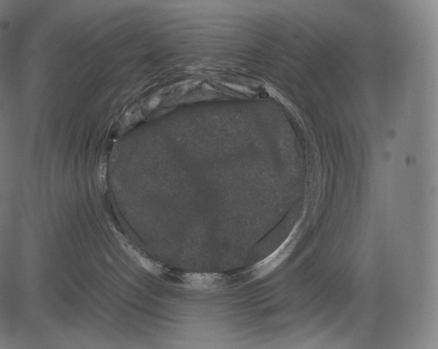 X0000081430192200702092209