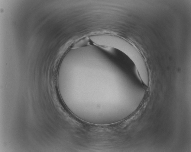 X0000081430193200702092208