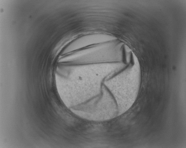 X0000081430194200702092208