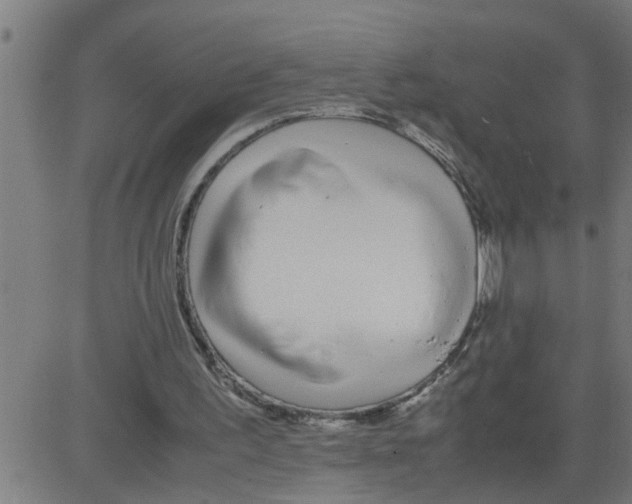 X0000081430195200702092208