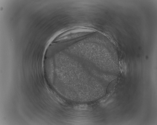 X0000081430196200702092208