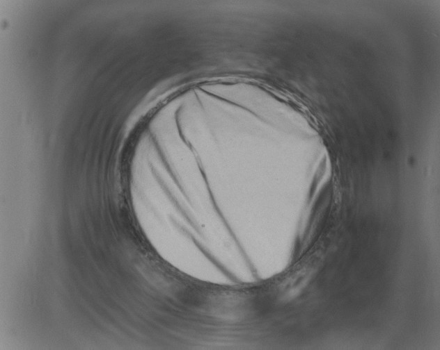 X0000081430198200702092208