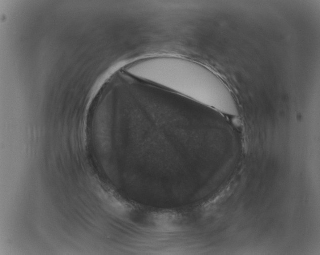 X0000081430200200702092208