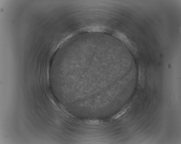 X0000081430202200702092208