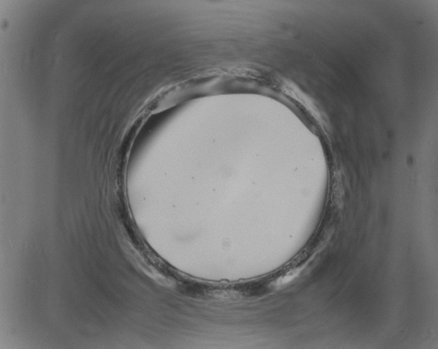 X0000081430203200702092208