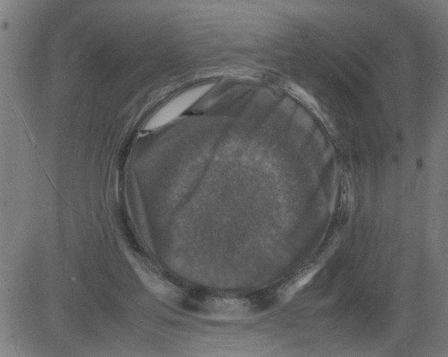 X0000081430205200702092208