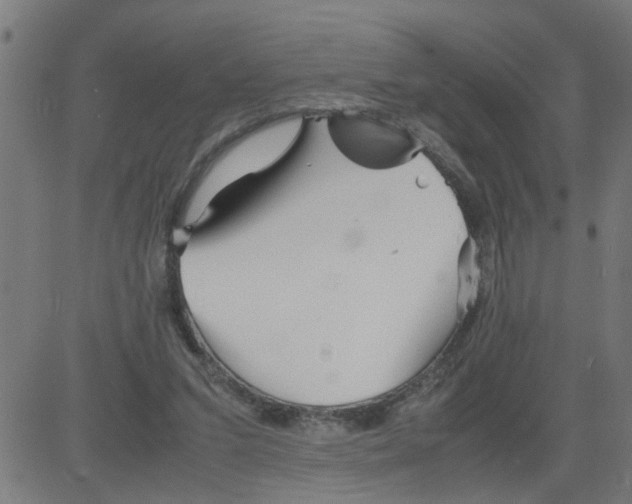 X0000081430207200702092208