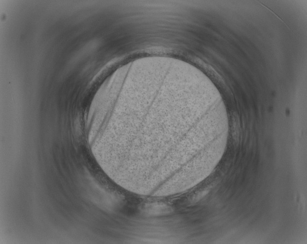 X0000081430208200702092208