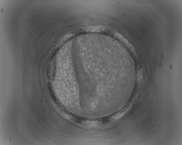 X0000081430209200702092208