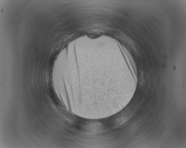 X0000081430210200702092208