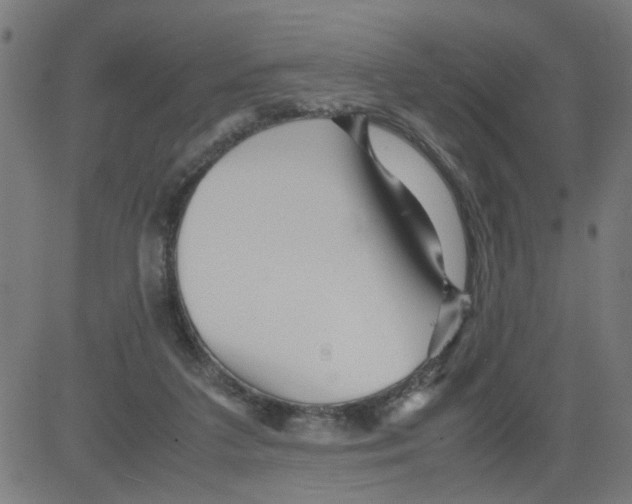 X0000081430211200702092208