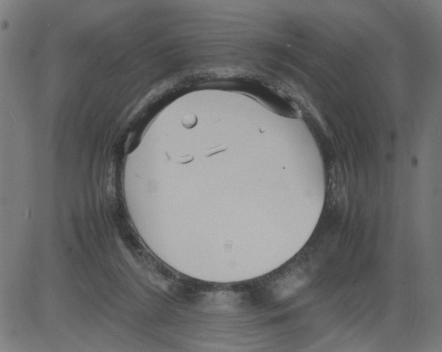 X0000081430212200702092208