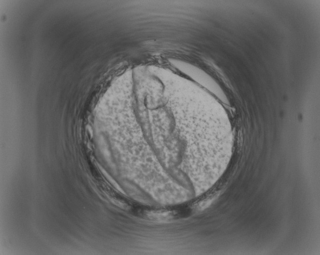 X0000081430213200702092208