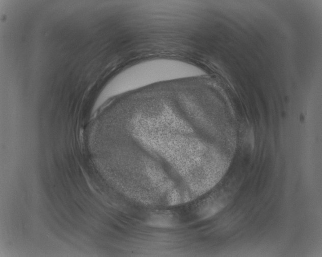 X0000081430214200702092208