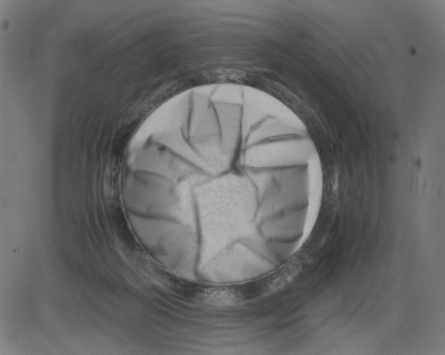 X0000081430218200702092208