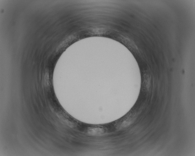 X0000081430220200702092208