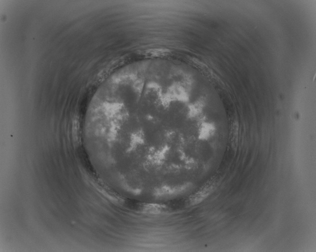 X0000081430222200702092208