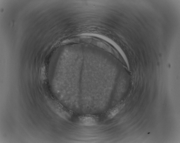 X0000081430224200702092208