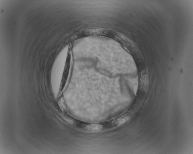 X0000081430225200702092208